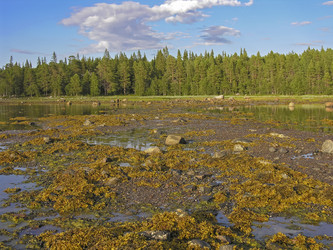 Similar image 21167385