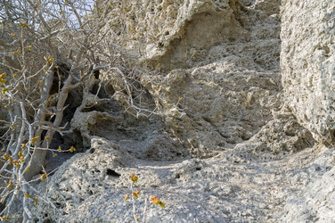 Similar image 21167389