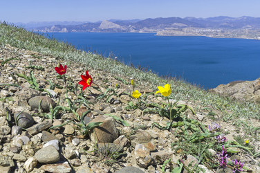 Similar image 21167392