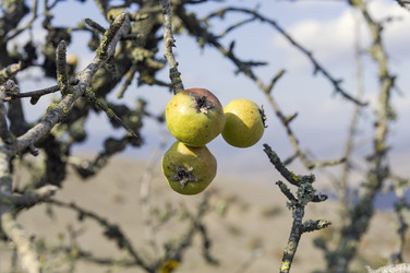 Similar image 21167395