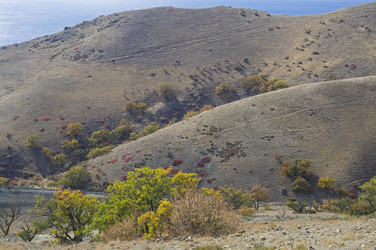 Similar image 21167396