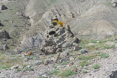 Similar image 21167398