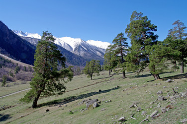 Similar image 21167400