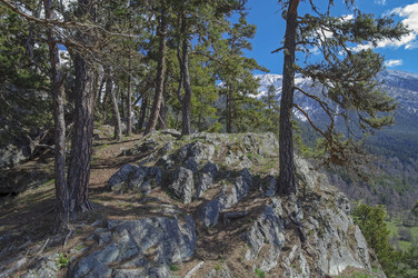 Similar image 21167402