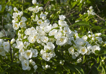 Similar image 21167406