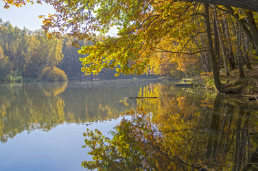 Similar image 21167409