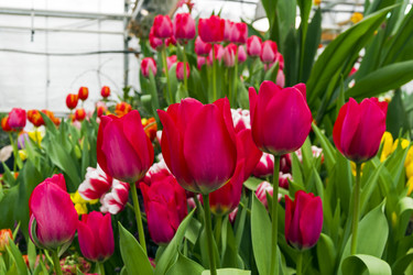 Similar image 21167411