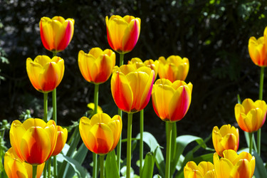 Similar image 21167413