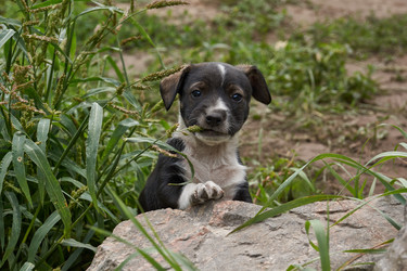 Similar image 21157627