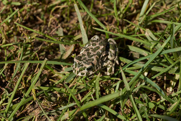 Similar image 21169897