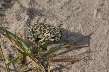 Similar image 21157629