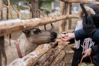 Similar image 21169899