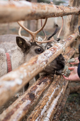 Similar image 21169900