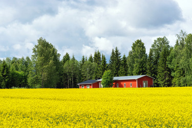 Similar image 21172087