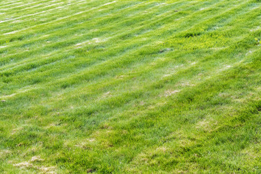 Similar image 21172106