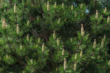 Similar image 21172108