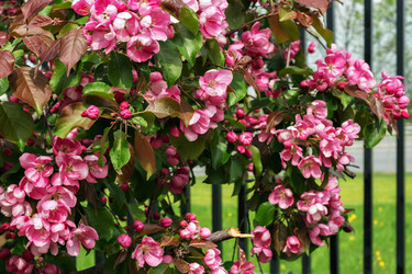 Similar image 21172111