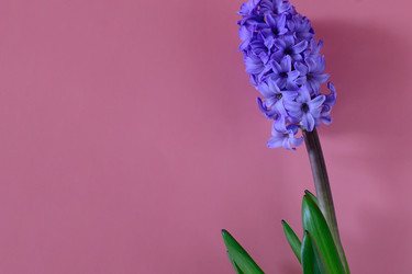 Similar image 21171435