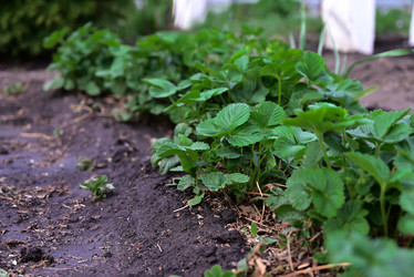 Similar image 21171443