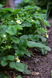 Similar image 21171444