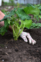 Similar image 21171446