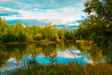 Similar image 21172381