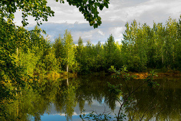 Similar image 21172382