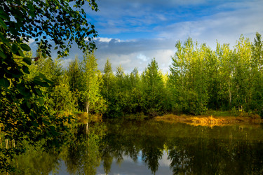 Similar image 21172385