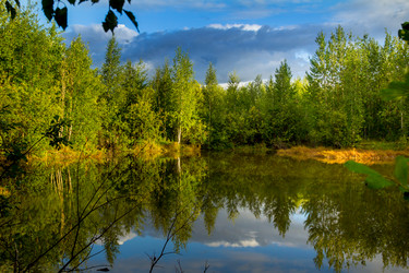 Similar image 21172386