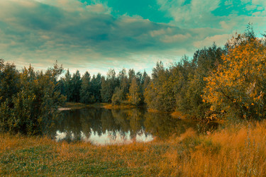 Similar image 21171942