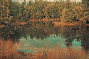 Similar image 21171945