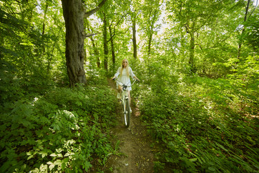 Similar image 21185155