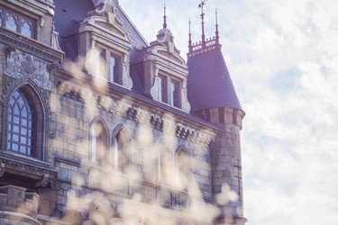 Similar image 21176217