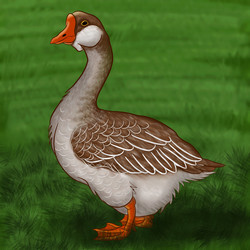 Similar image 21176223