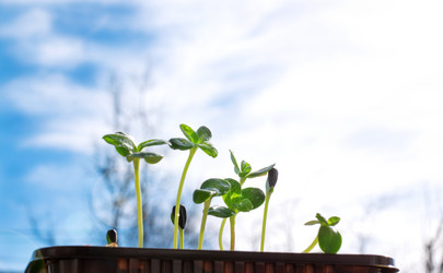 Similar image 21168240