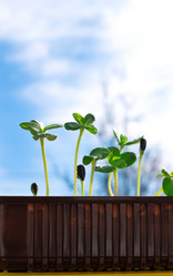 Similar image 21187003