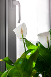 Similar image 21168241