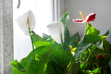 Similar image 21168242