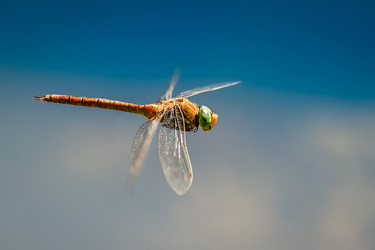 Similar image 21169903