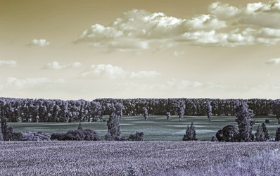 Similar image 21184870
