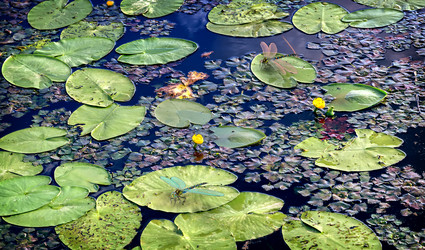 Similar image 21184877