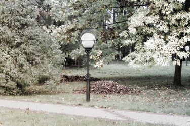 Similar image 21184892