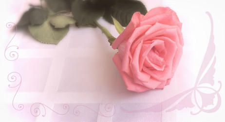 Similar image 21184893