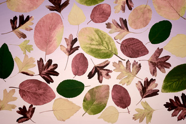 Similar image 21184896