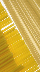 Similar image 21167204