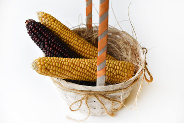 Similar image 21187358