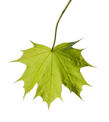 Similar image 21169986