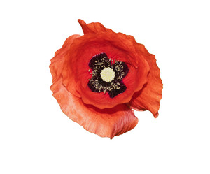 Similar image 21169987