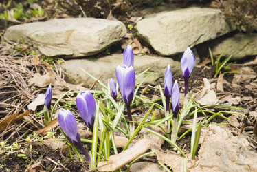 Similar image 21169988