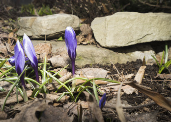 Similar image 21169989